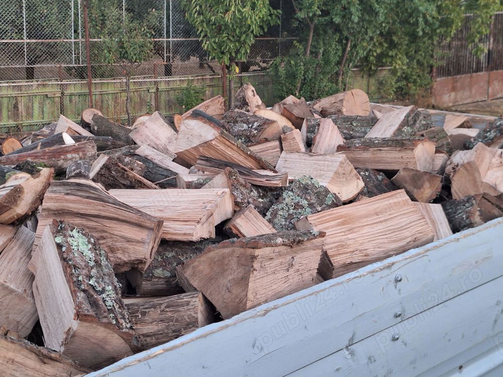 Fag uscat și verde!!