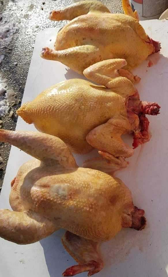 Vând găini de casă tăiate 25lei kg livrare la domiciliu 