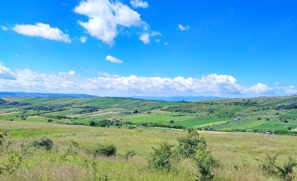 Teren de vanzare inchiriere 80 ha Danicei, Valcea 