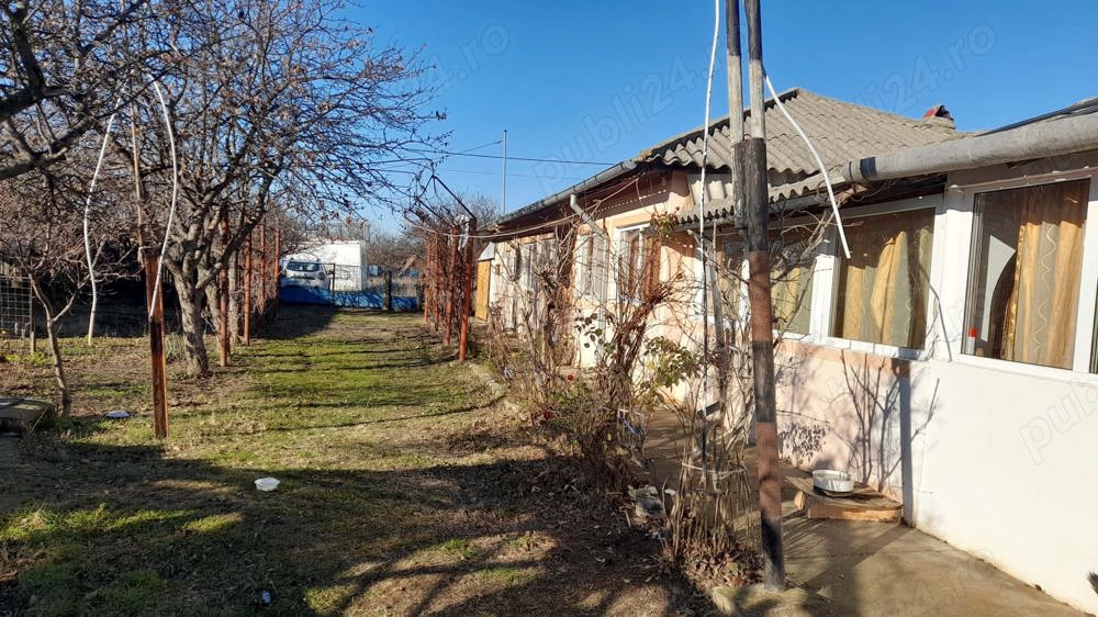 Teren  Casa de vanzare in Catun Tamplaru Maldaeni  langa Rosiori de Vede