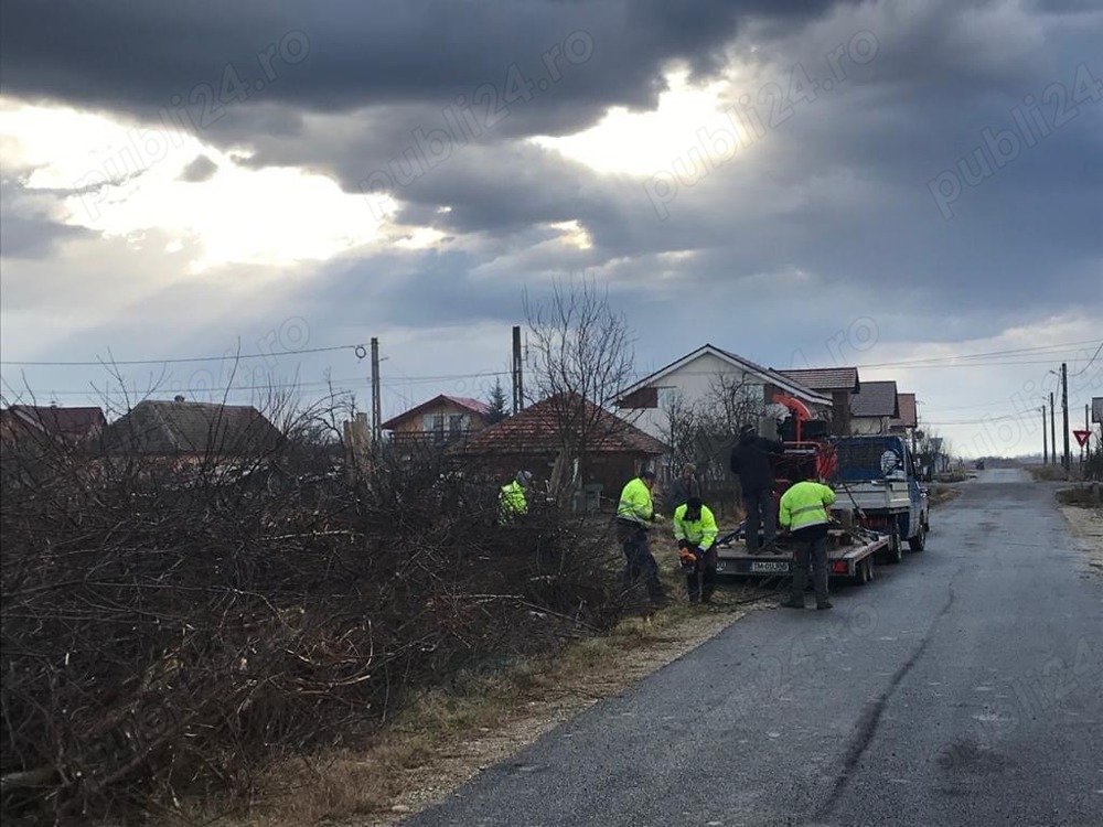 Servicii peisagistice