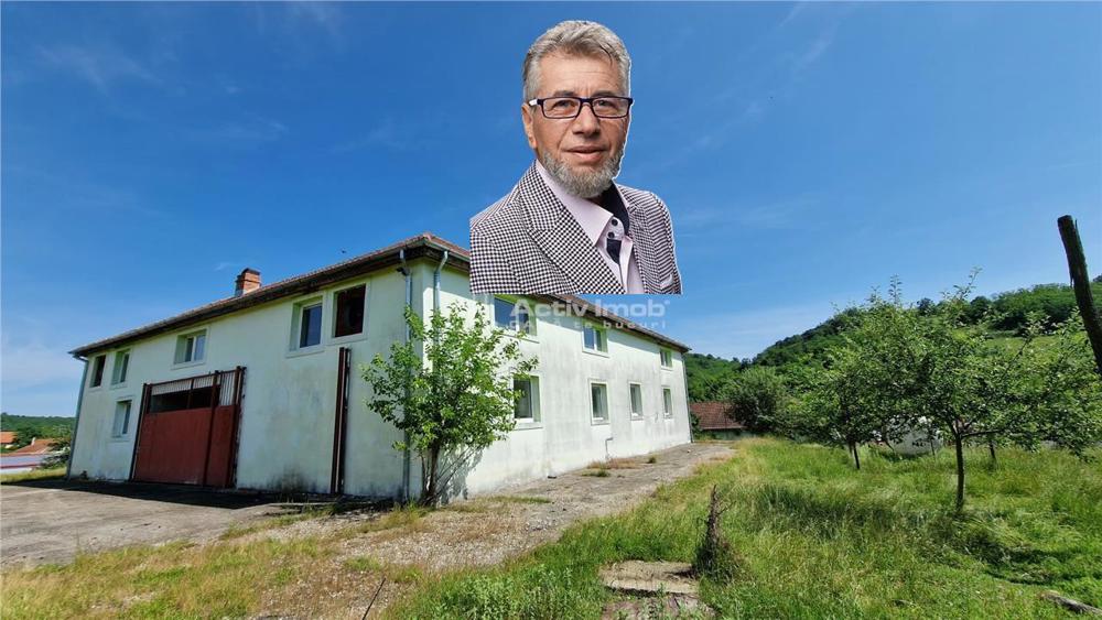 Farliug Casa sau Afacere 150 000 euro,Livada 5000 mp.de pomi fructiferi 15 000 euro