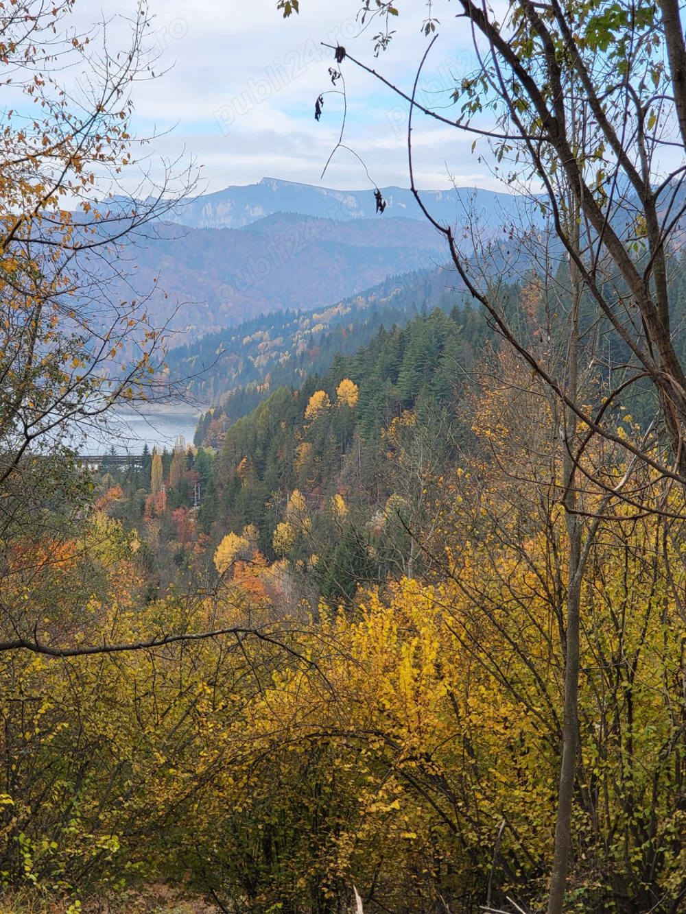 Teren cu cabana la munte - Potoci   Bicaz   NEAMT - TURISM sau casa de vacanta