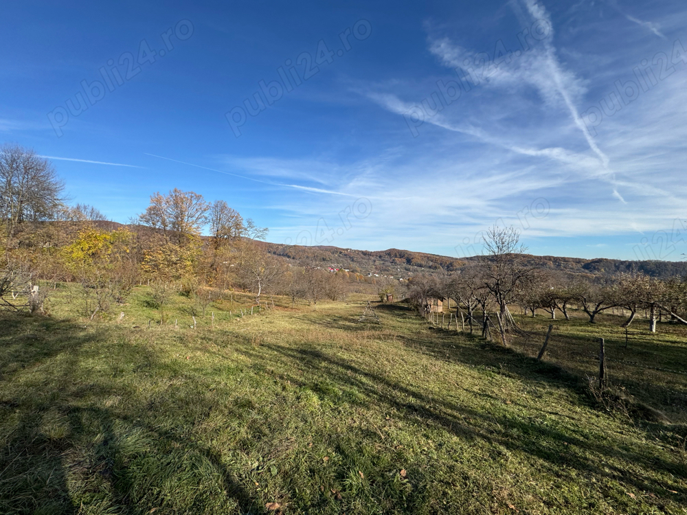 Teren Albestii de Arges