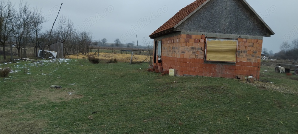 vand grădină 