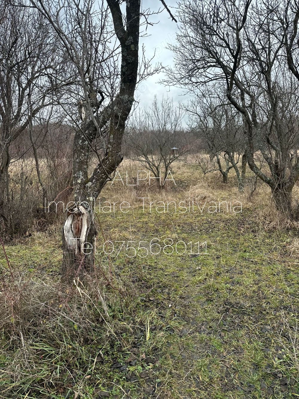 Teren extravilan livada SCPP,panorama frumoasă