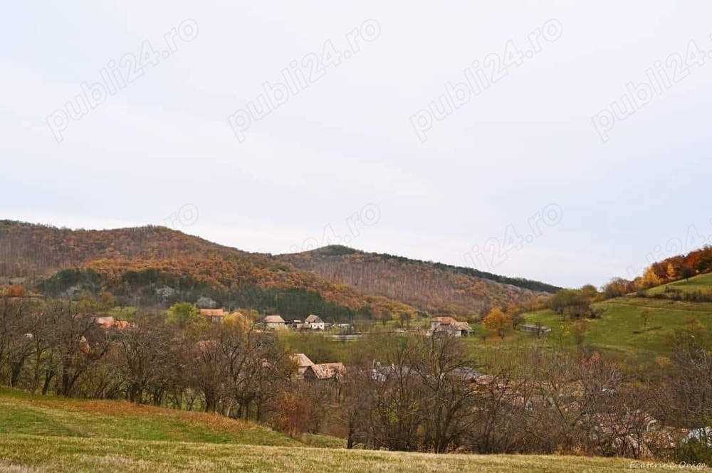 Teren de vanzare Jud Alba, Vintu de Jos, Inuri