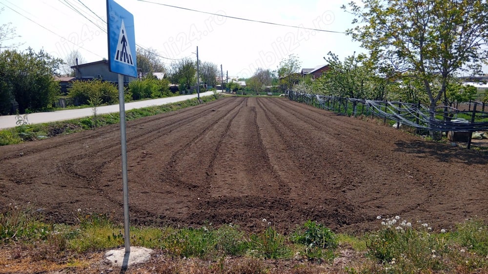 Teren intravilan 1000mp in apropiere de bucuresti  .zona Varasti giurgiu 