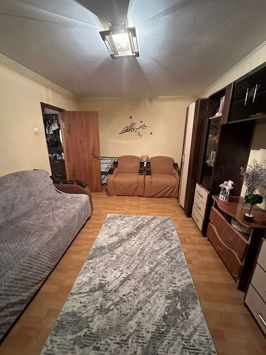 apartament 2 camere teiul doamnei