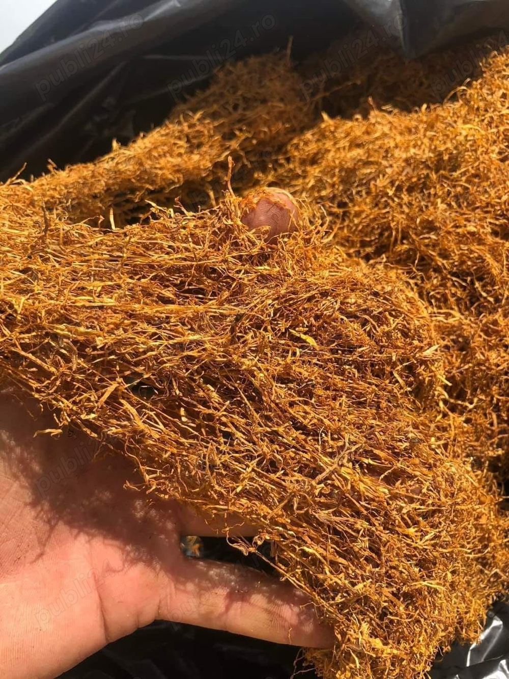 tutun firicel de fabrica import turcia!