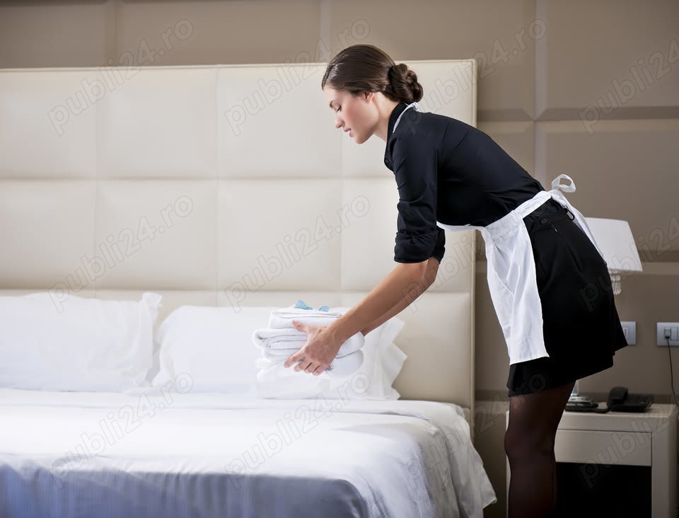 Caut să angajez o femeie pentru servicii de menaj part-time 