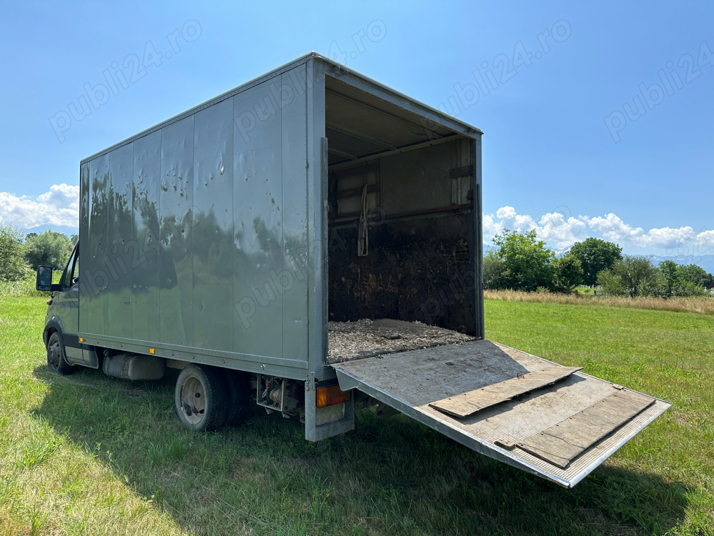 Transport animale vii.