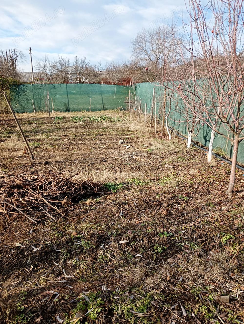 Topoloveni: Loc casa gradina cu utilitati si anexa locuibila