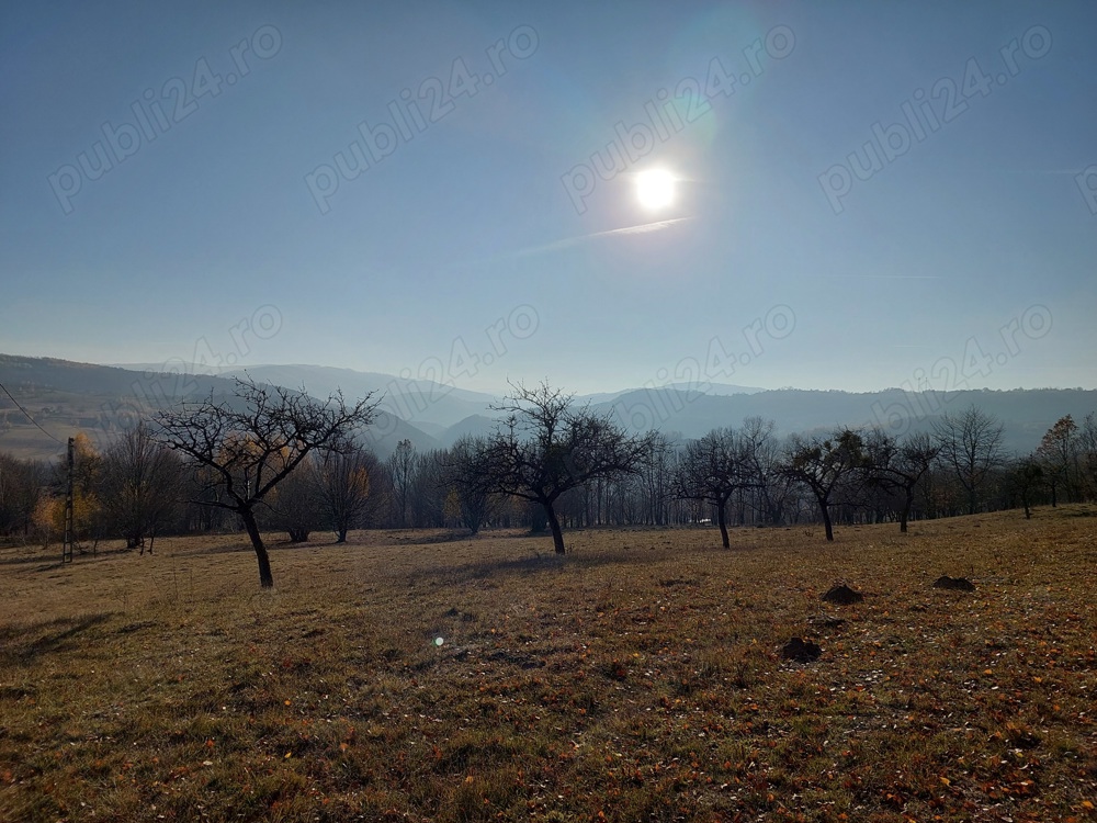 Teren intravilan de vanzare - Suprafata mare