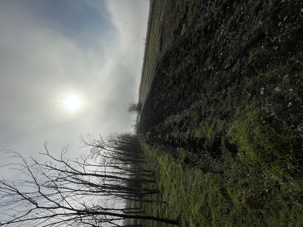 Vand teren in Ceacu situat pe strada parcului