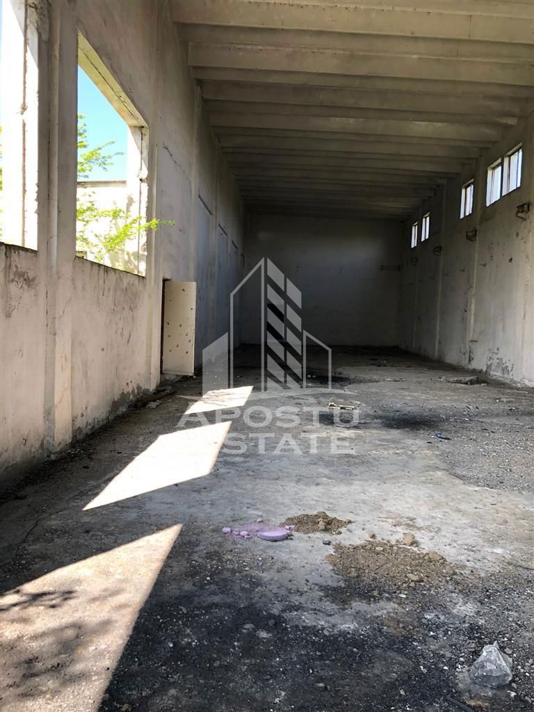 Teren 8000 mp  cu hala de 700 mp