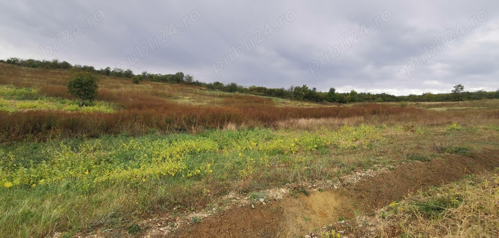 Teren cu panoramic spre lacul de la Saldabagiu de Munte 