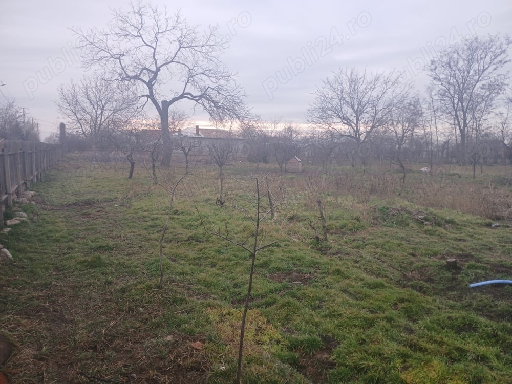 vând loc de casă în județul Buzău