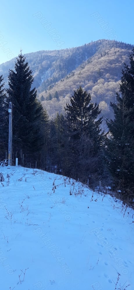 Vand teren intravilan, Zărnești