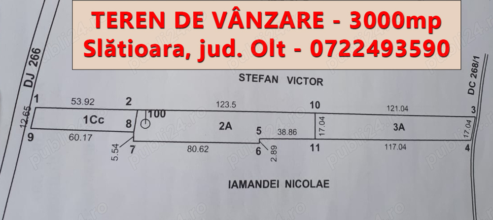 Teren de vanzare intravilan 3000 mp Slatioara judetul Olt