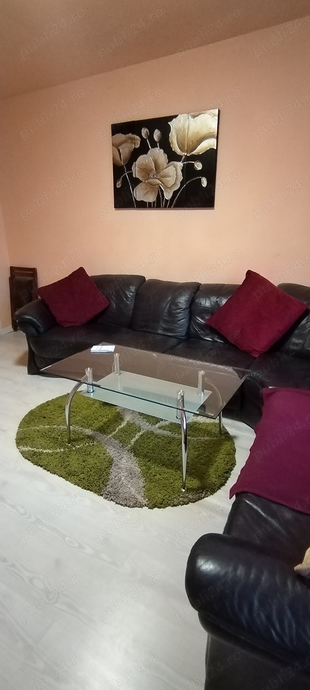 Vand apartament cu doua camere