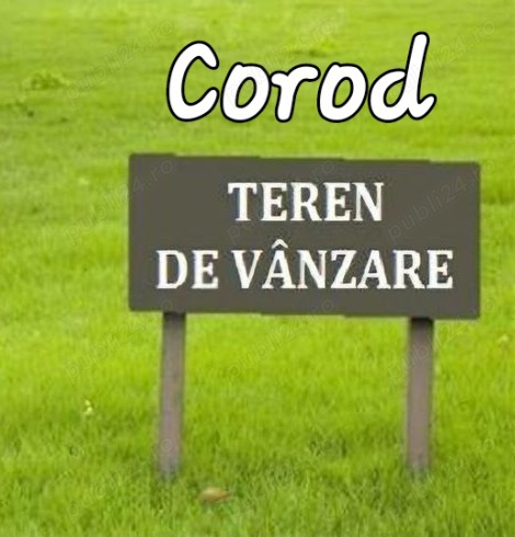 Teren intravilan in Corod