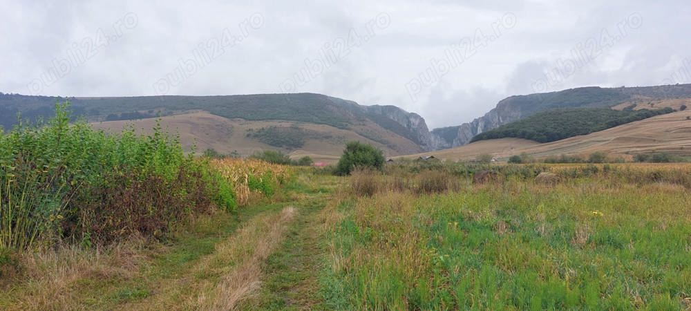 Vand teren intravilan 1300 mp, cu CF, Petrestii de Jos, Cluj