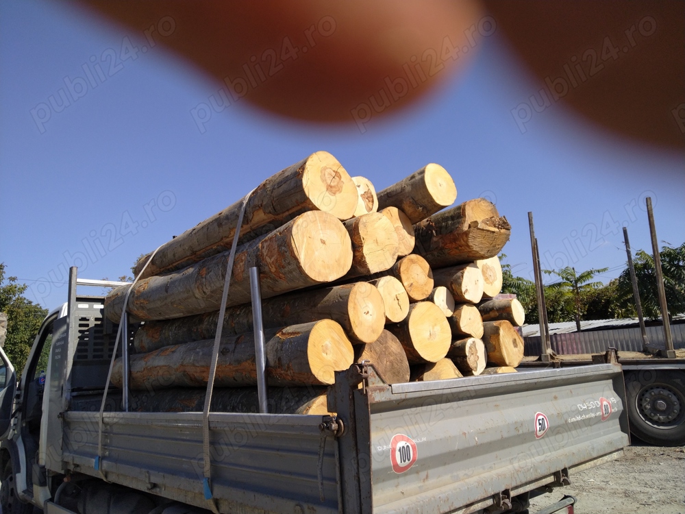 Lemn de foc  doar fag și carpen 