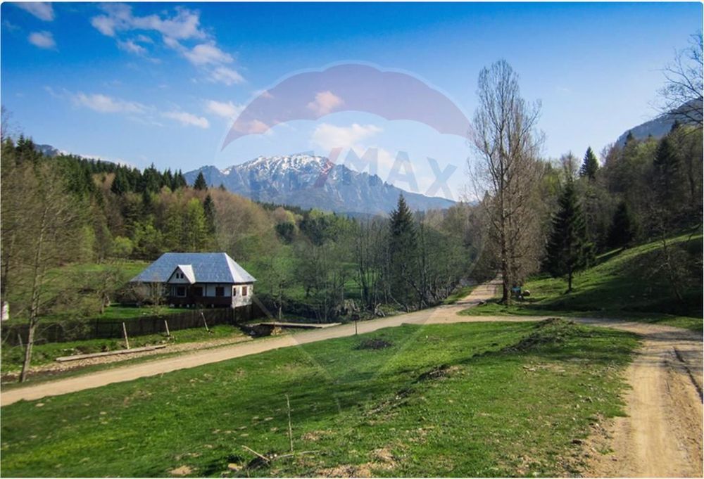 Teren 8500 mp, Valea Dălghiului - Dălghiu - vedere către Ciucaș