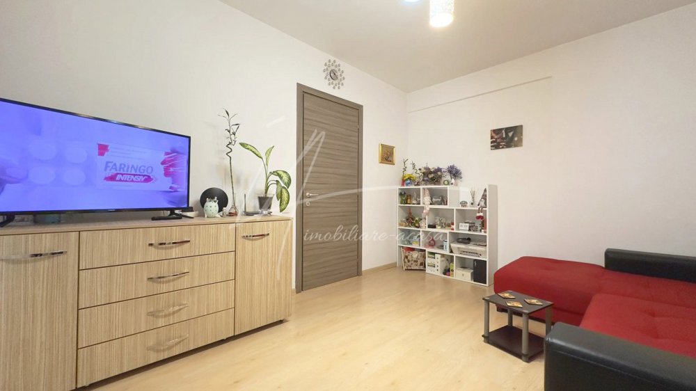 Apartament 2 camere, Theodor Pallady