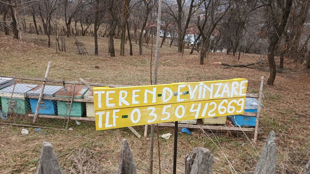 Vanzare teren Vaideeni -centru (Valcea)