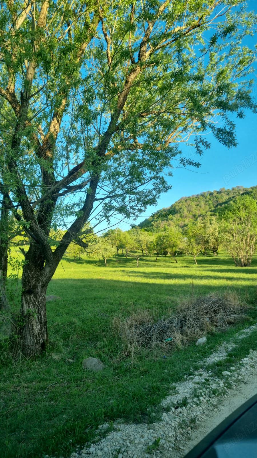 Teren intravilan de vanzare