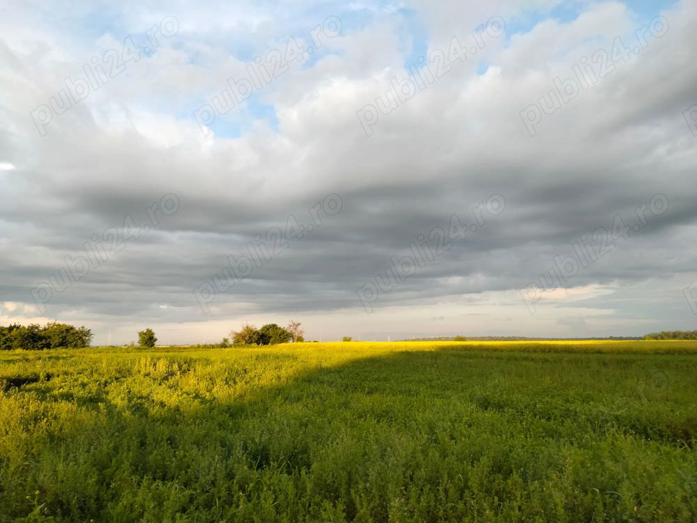 Teren 4800 mp intravilan extravilan Hăbud Prahova