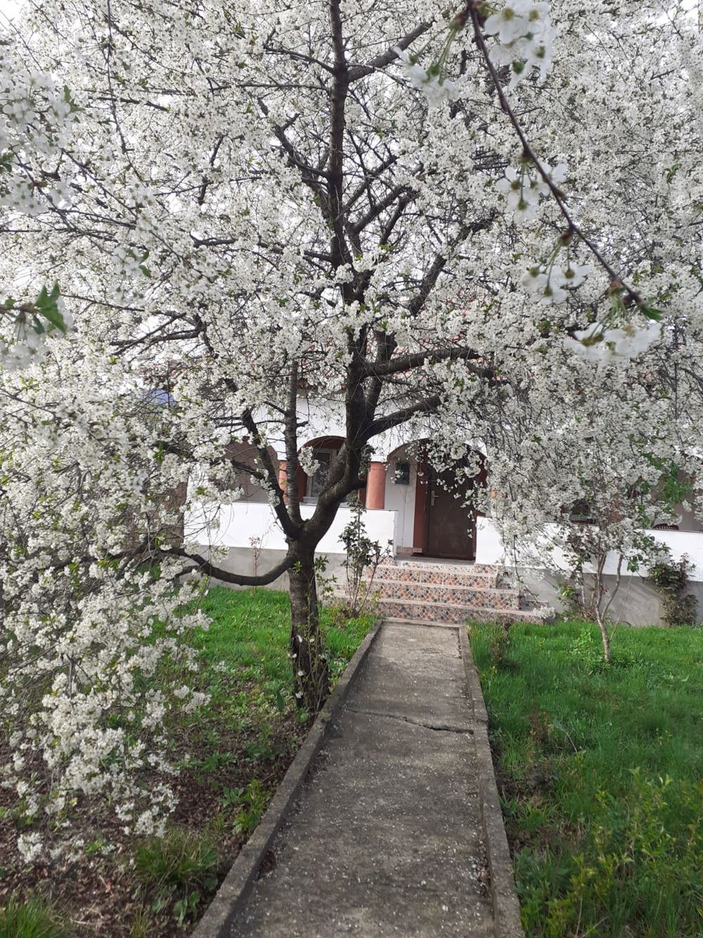 vand sau schimb casa la tara cu apartament targu.jiu