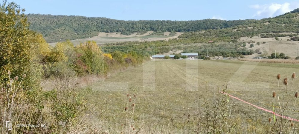 Teren Intravilan de vanzare, 4.900 mp, zona parcului Industrial Prisma