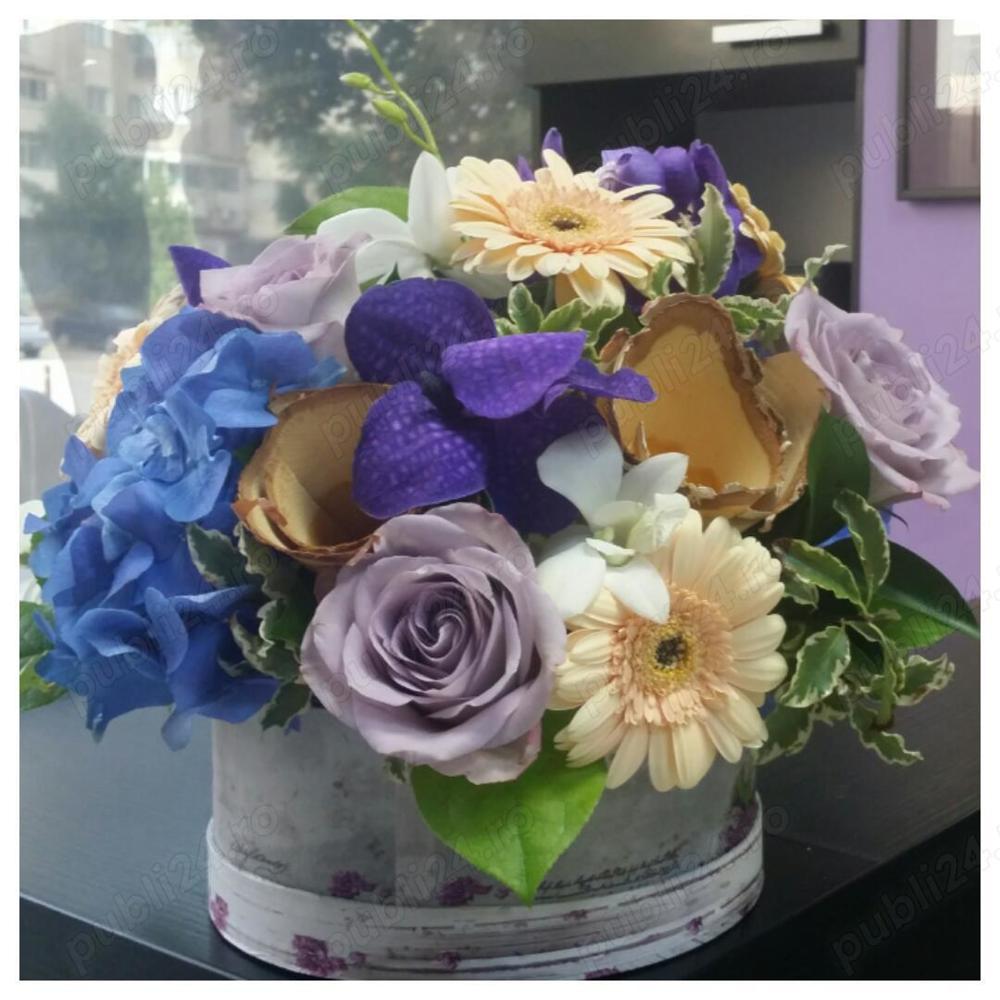 Angajam tehnician maseur