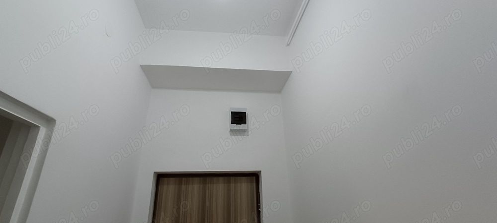 Zugrav cu experienta 