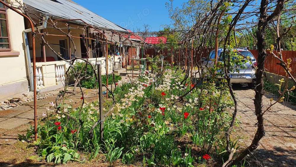 Vând casă în localitatea Giubega