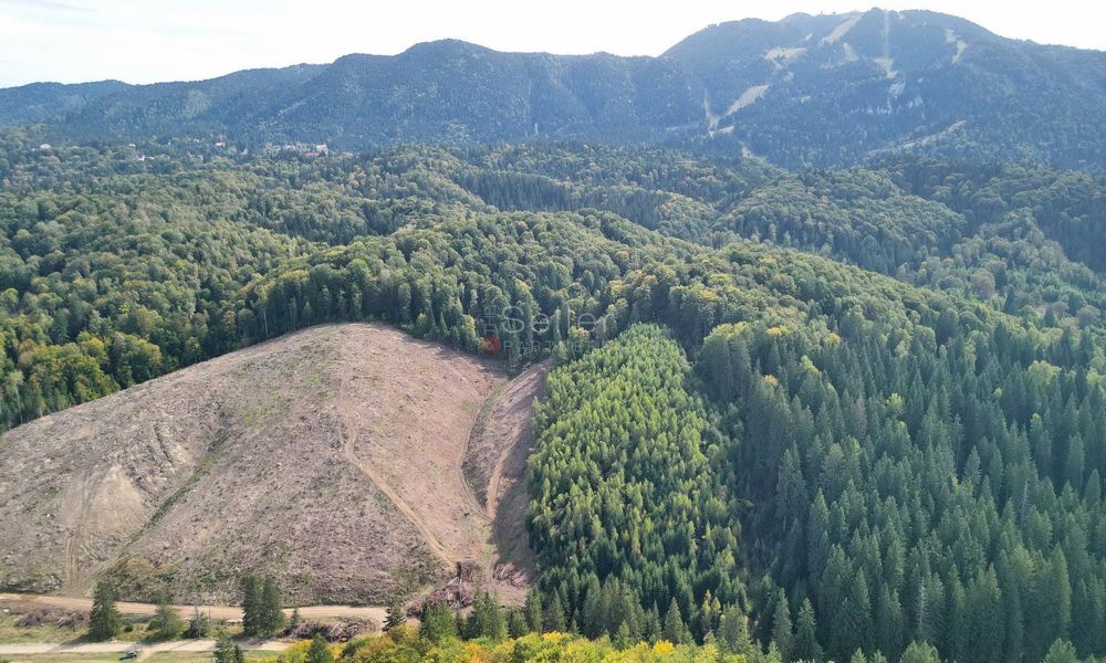 Teren intravilan zona Poiana Brasov