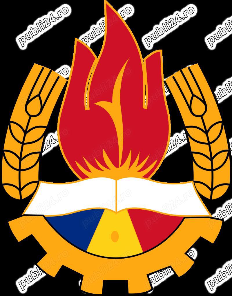 Caut orice fel de efecte pionieresti