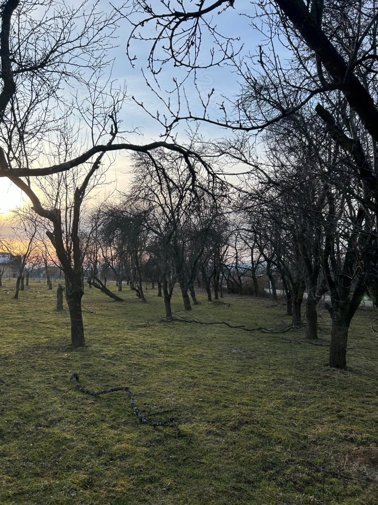 Teren intravilan Satu Nou de Jos