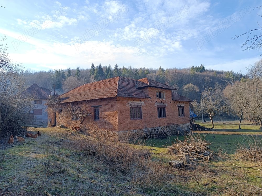 De vânzare Casă + Teren si Pădure.