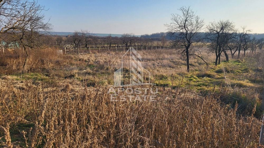 Teren de  3844 mp cu proiect autorizat pt casa individuala,in Pischia