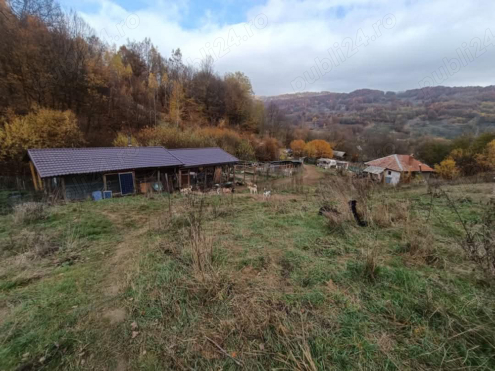 Teren intravilan langa Zlatna