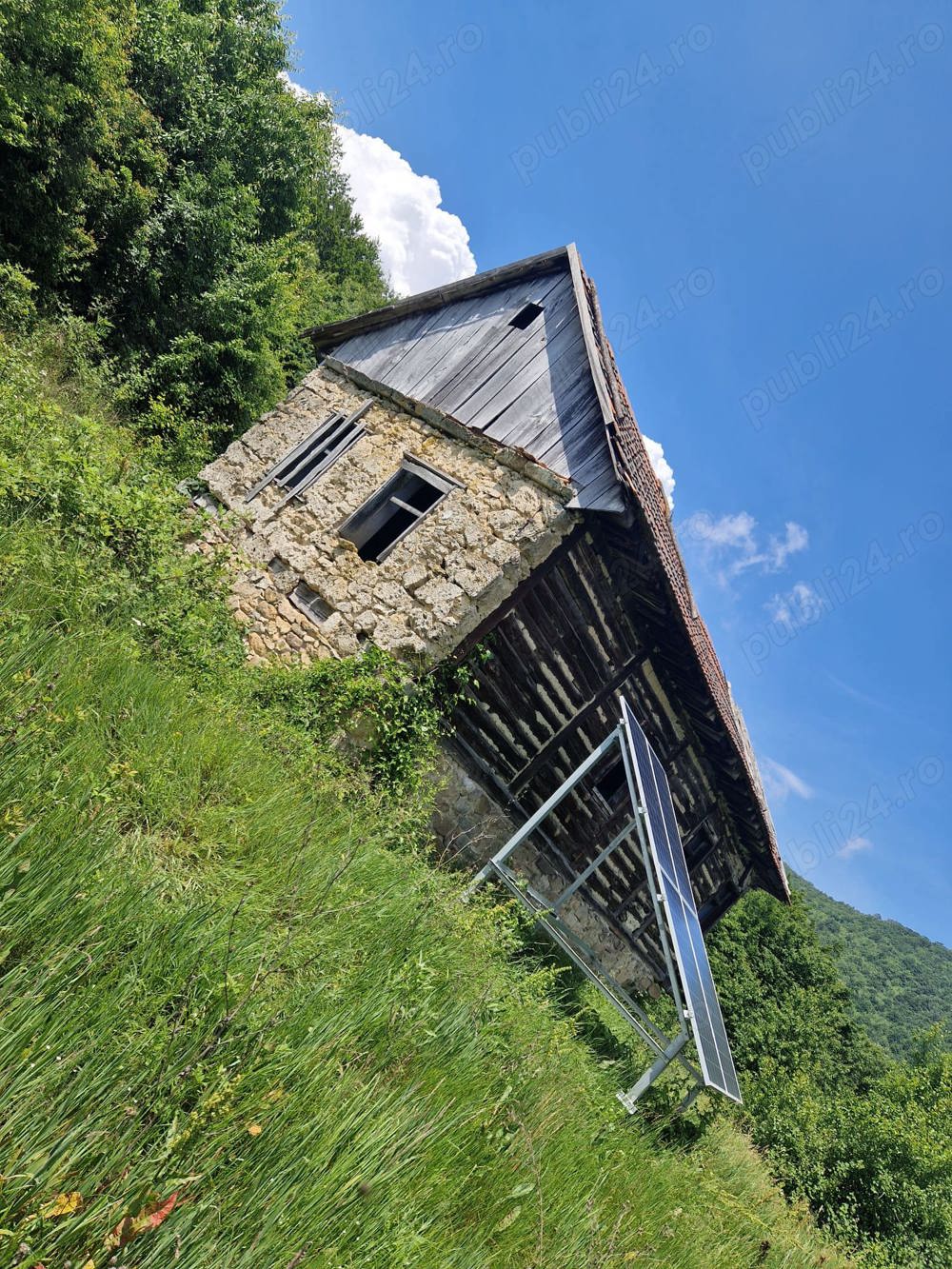 Teren de vanzare cu pomi fructiferi Teren de vanzare cu pomi fructiferi