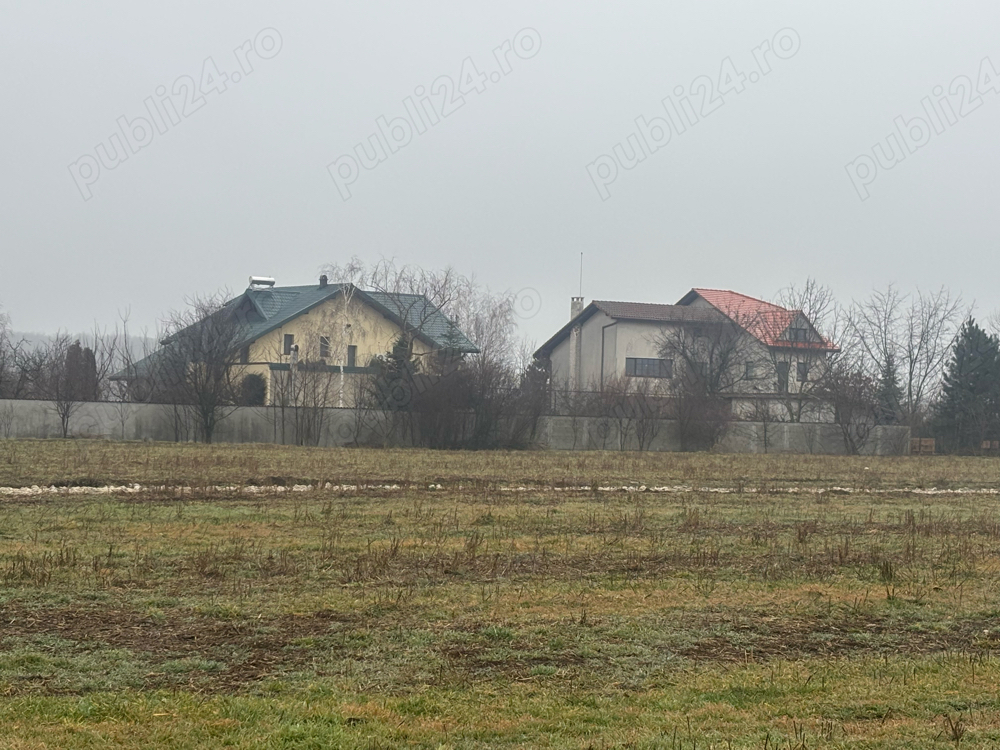 Teren de vanzare in comuna Dascalu, jud. Ilfov