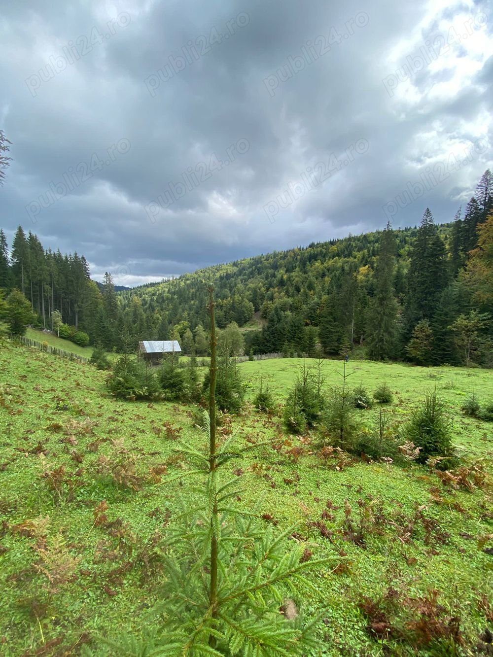 Vând teren la munte extravilan