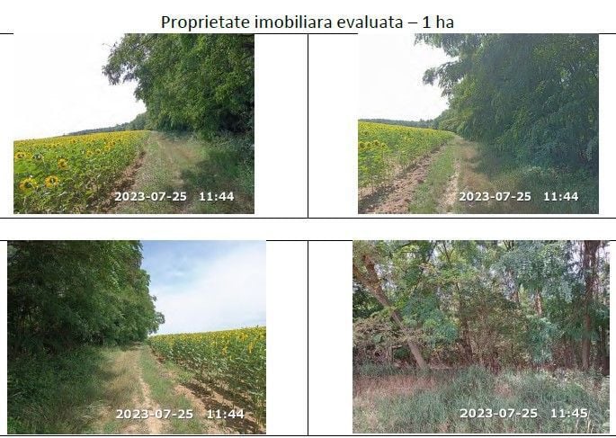 Teren extravilan padure, cota parte de 1/48 Horgesti, ID: R2325836