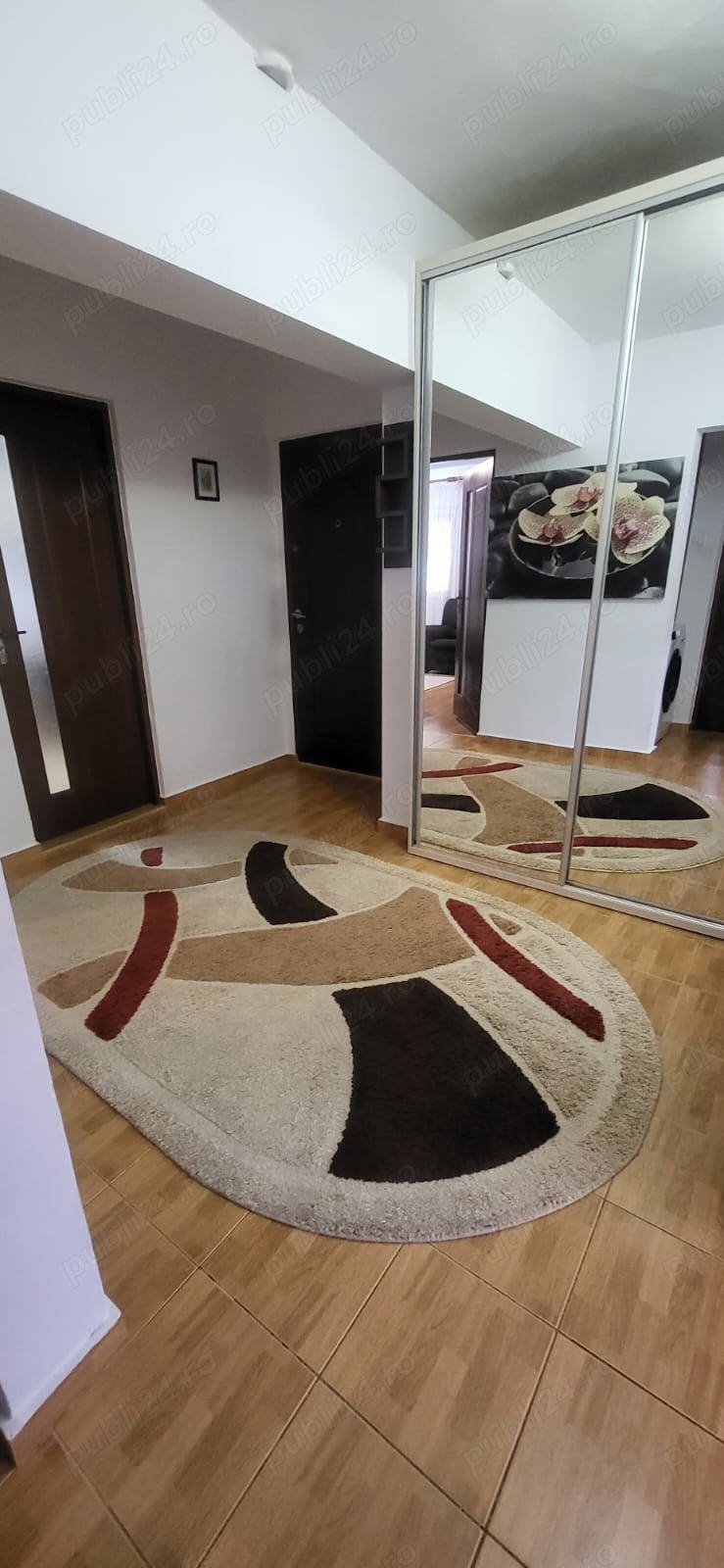 apartament 3 camere