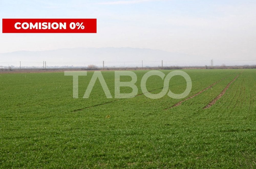 Teren extravilan agricol 5.265mp utilitati acces auto Oarda Alba Iulia